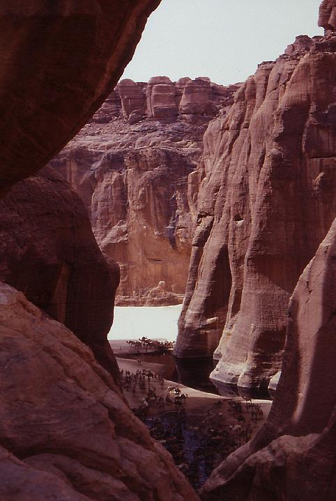 Guelta d Archei - Ciad 2000